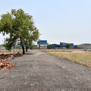 Plot Area in  Plot at Sector 143 – for Sale