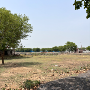 Plot Area in  Plot at Sector 143 – for Sale
