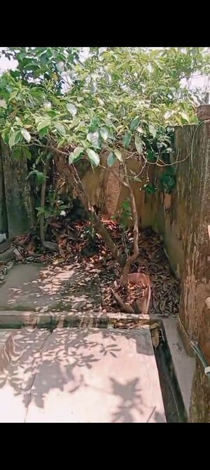 3 BHK Independent House For Sale in Orion City, Subhasgram