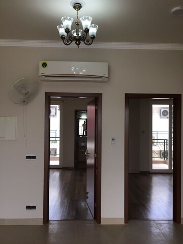 3 BHK Builder Floor For Rent in Central Park 3 Flower Valley, Sohna Sector 33