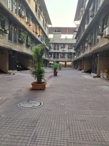 1 BHK Apartment For Rent in Kamdhenu CHS Ghansoli, Ghansoli