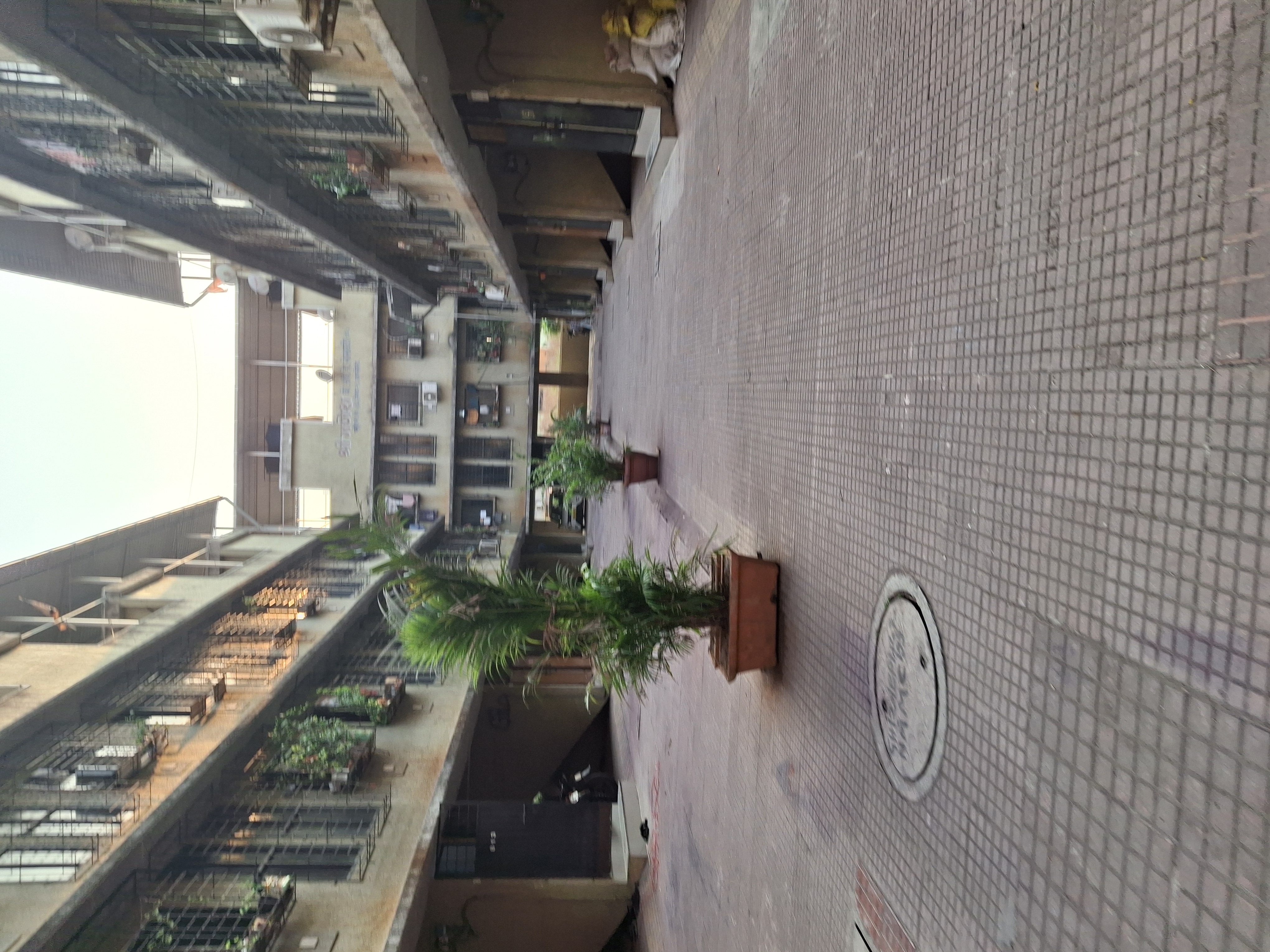 1 BHK Apartment For Rent in Kamdhenu CHS Ghansoli