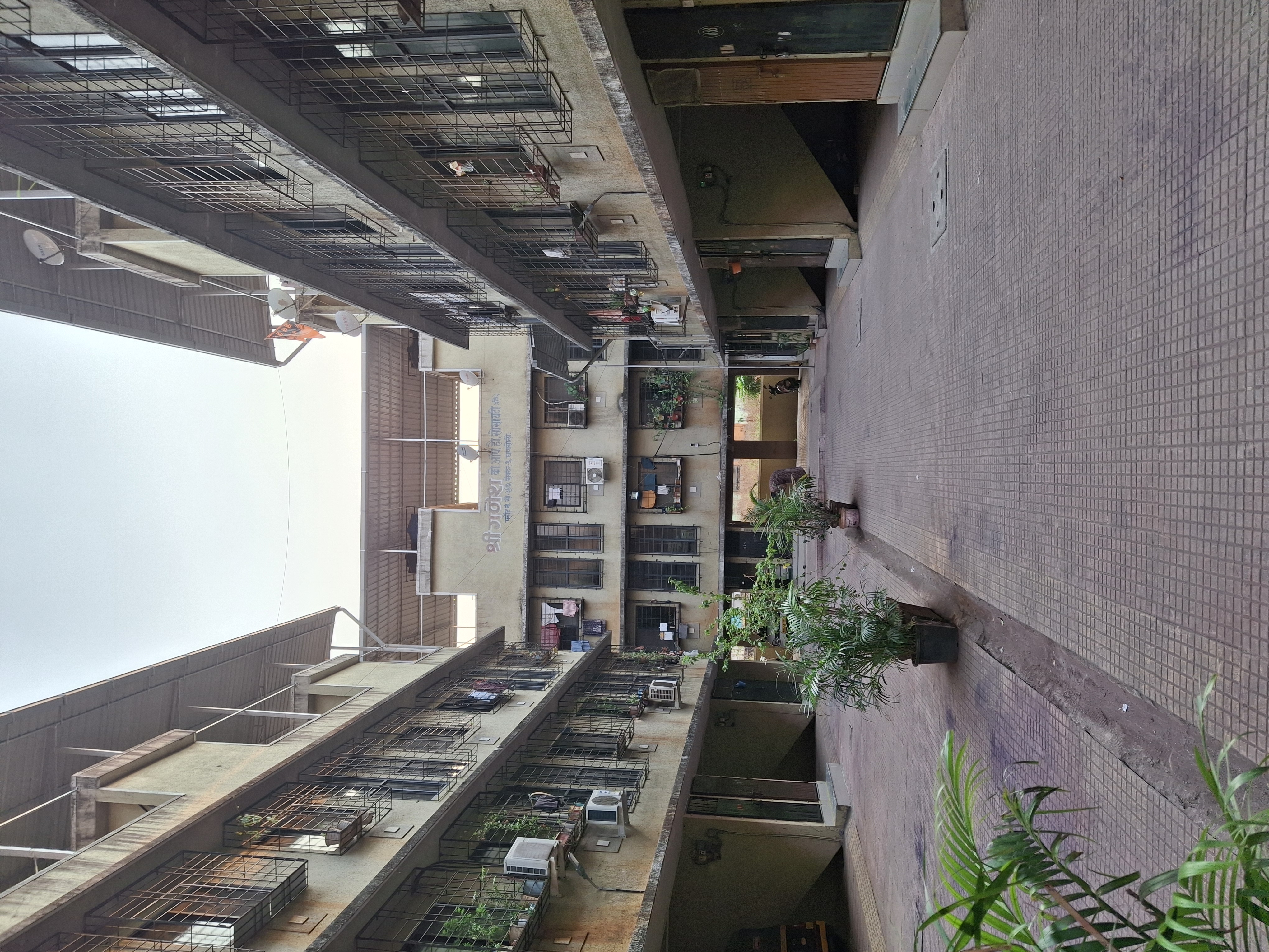 1 BHK Apartment For Rent in Koyna CHS Ghansoli