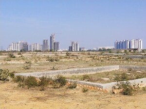 Plot Area in  Plot at Sector 150 – for Sale