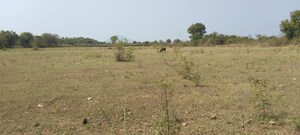 Plot Area in  Plot at Ivc Road – for Sale