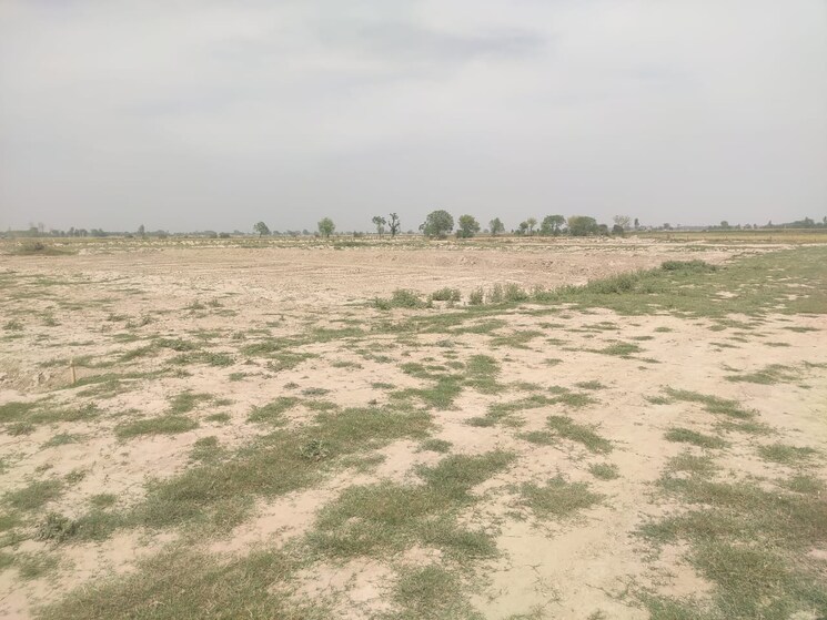 undefined, jewar  118 Sq.Yd. Plot In Jewar Greater Noida 8594904