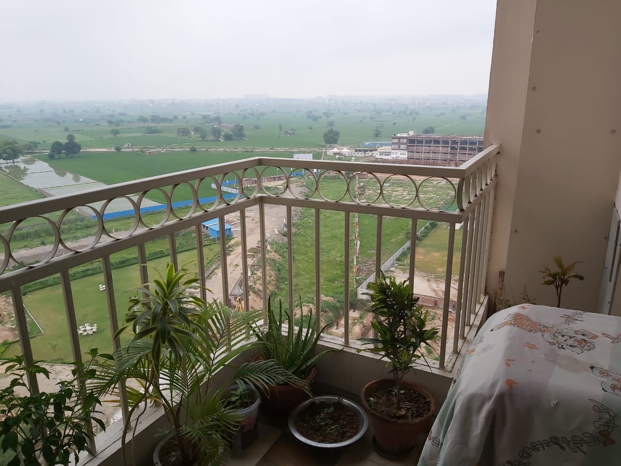 3 BHK + Pooja Room Apartment For Rent in Malwa Escon Arena