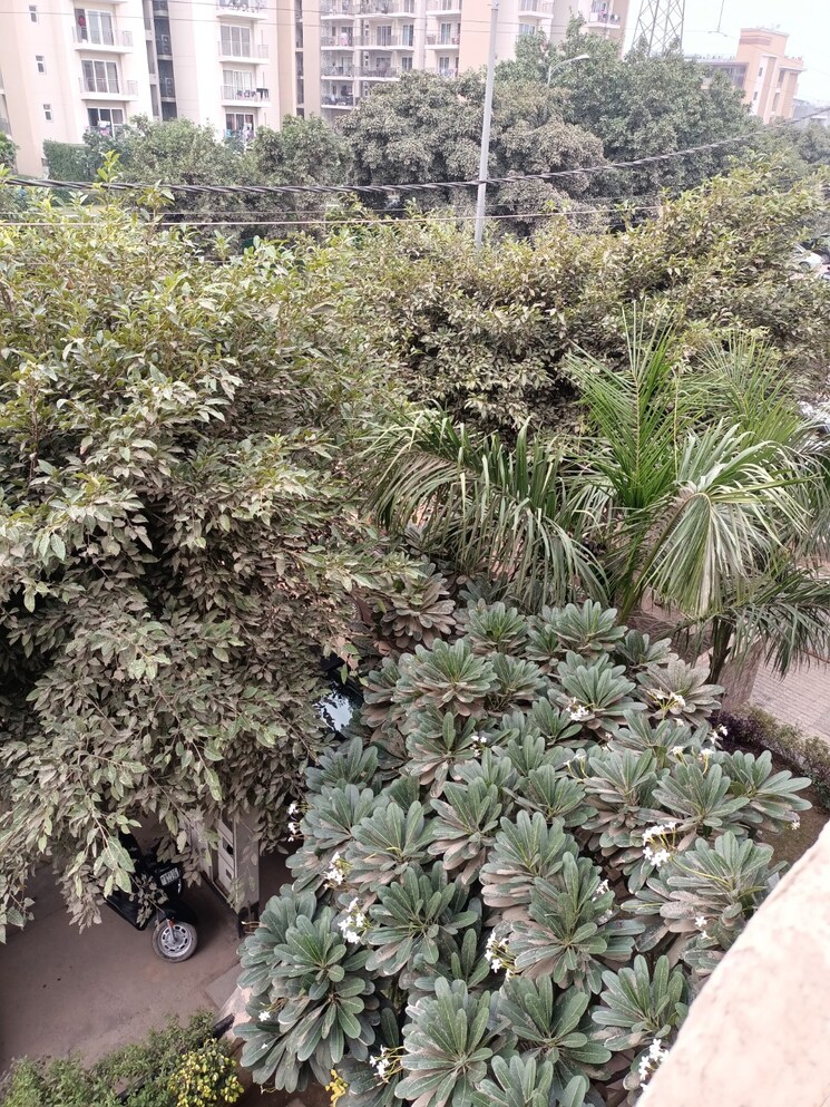 Master Bedroom, bptp-park-81 3.5 Bedroom 1481 Sq.Ft. Builder Floor In Sector 81 Faridabad 8595230