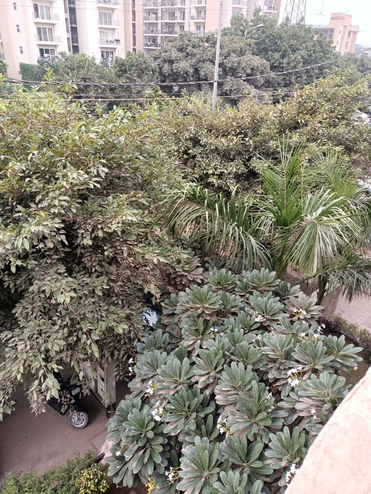 Master Bedroom, bptp-park-81 3.5 Bedroom 1481 Sq.Ft. Builder Floor In Sector 81 Faridabad 8595230