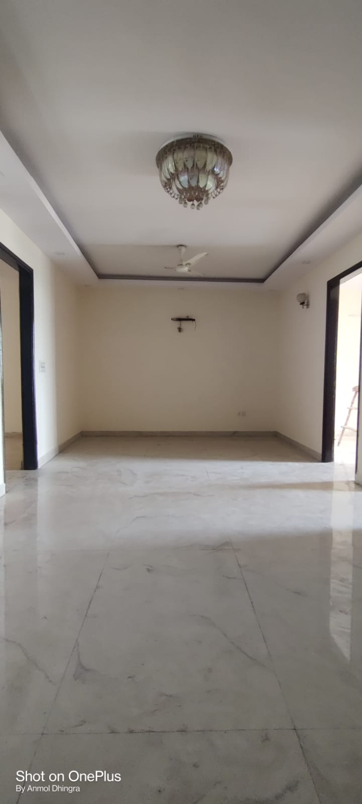 3 BHK + Pooja Room,Servant Room,Study Room,Extra Room Builder Floor For Rent in Green Fields Colony
