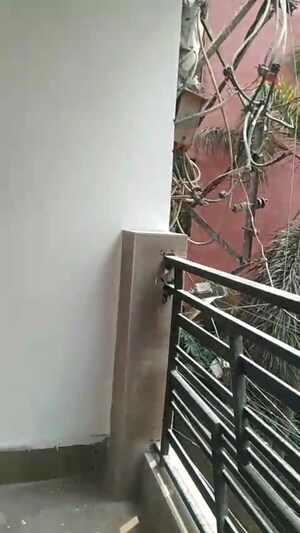 Balcony in 1 BHK Builder Floor at Mehrauli – for Sale