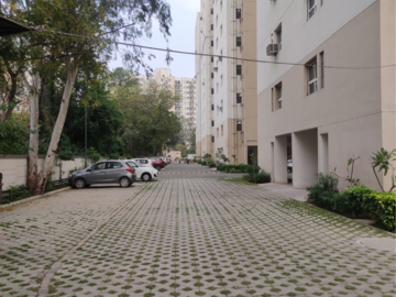 1 BHK Apartment For Rent in Adani Aangan Arcade, Sector 88a