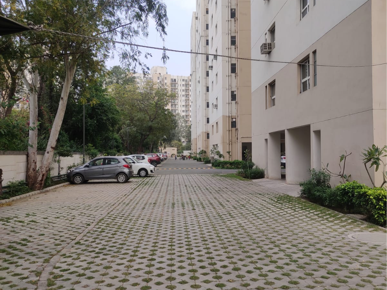 1 BHK Apartment For Rent in Adani Aangan Arcade