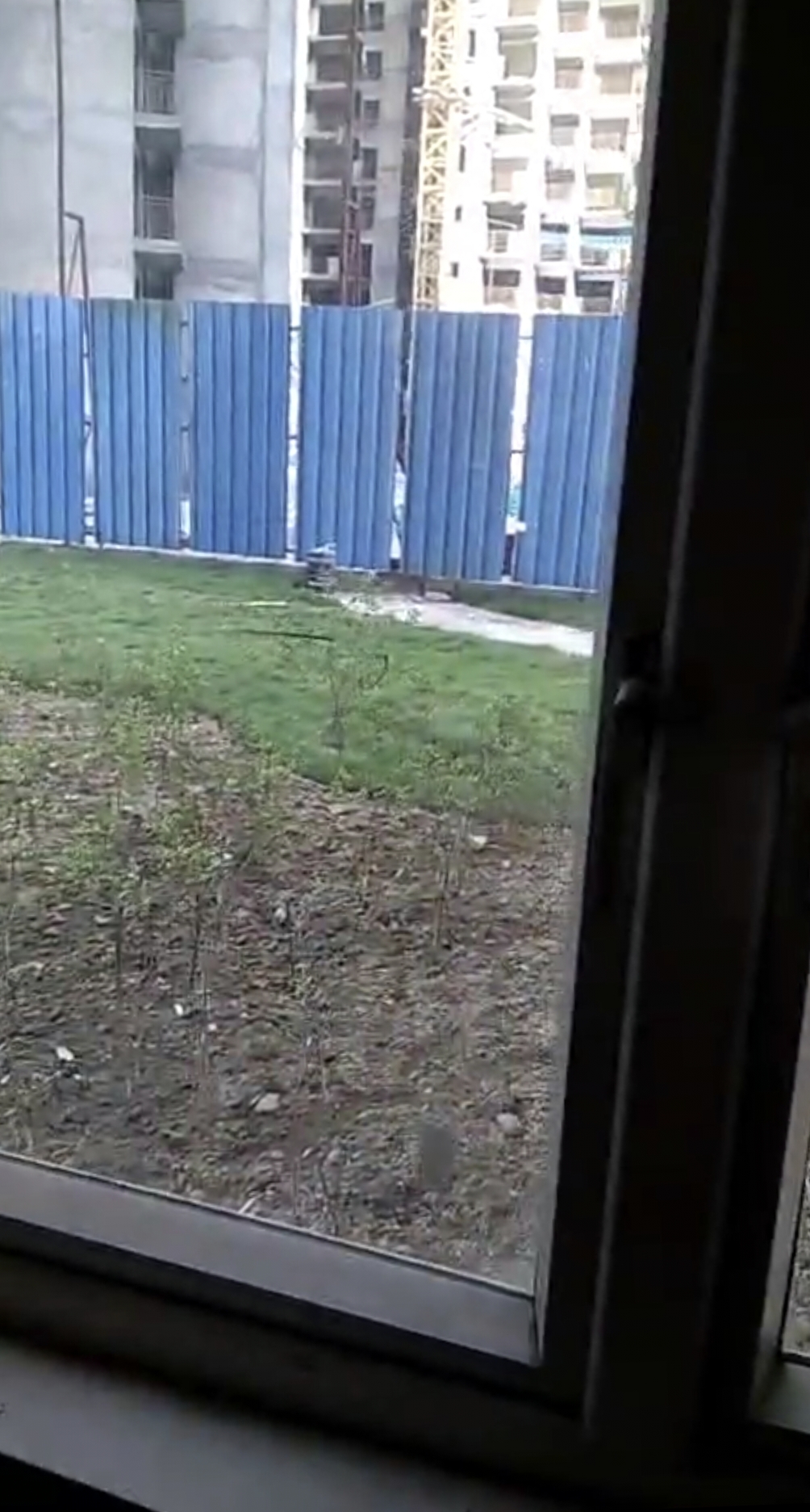 2 BHK Apartment For Rent in Mahagun Mywoods