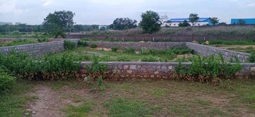 Plot Area in  Plot at Sector 148 – for Sale
