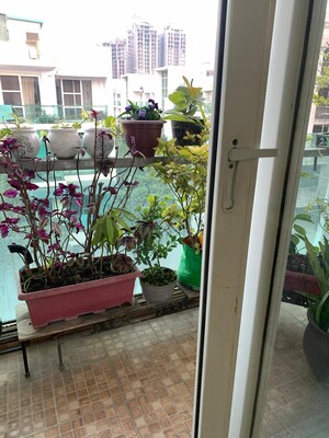 Balcony in 3 BHK Builder Floor at Omaxe Ambrosia, North Mullanpur – for Sale