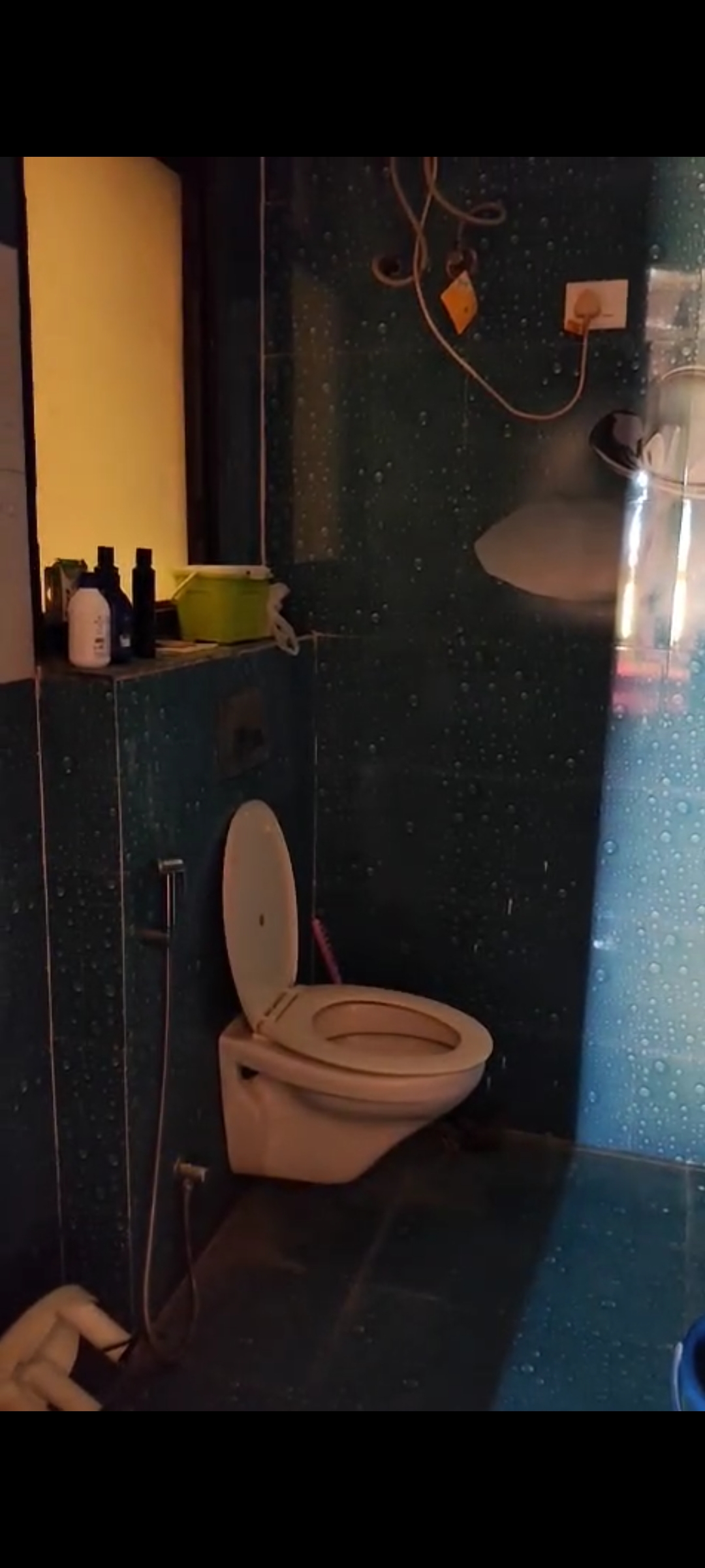 2 BHK Builder Floor For Rent in Ardee City