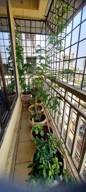 Balcony in 1 BHK Apartment at Parsik Nagar – for Sale