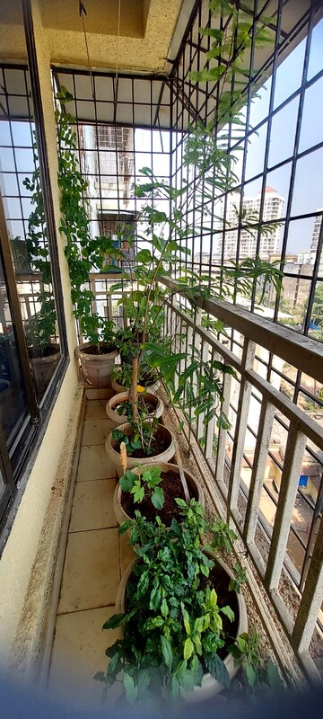 Balcony in 1 BHK Apartment at Parsik Nagar – for Sale