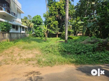 Plot For Sale in Olarikara