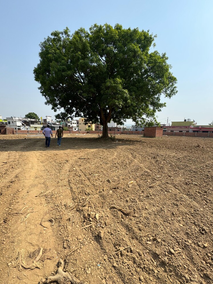 undefined, badowala  106 Sq.Yd. Plot In Badowala Dehradun 8596011