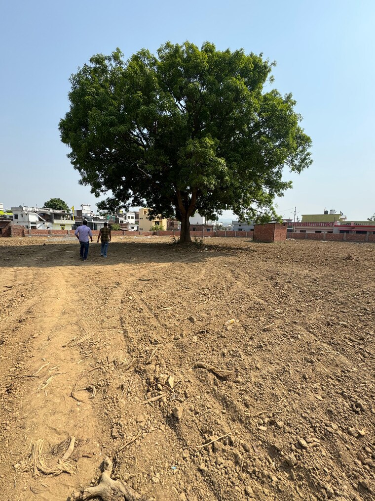 undefined, badowala  106 Sq.Yd. Plot In Badowala Dehradun 8596011