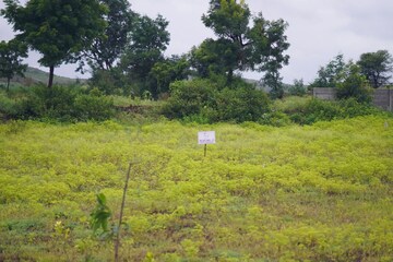Plot Area in  Plot at Uruli Kanchan – for Sale