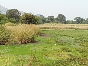  Plot For Sale in Chirle