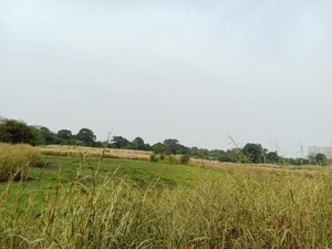 Plot Area in  Plot at Chirle – for Sale