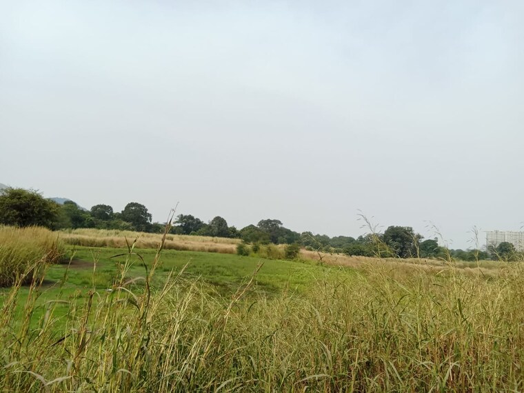 undefined, chirle  1089 Sq.Ft. Plot In Chirle Navi Mumbai 8596135