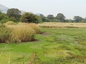 Plot Area in  Plot at Chirle – for Sale