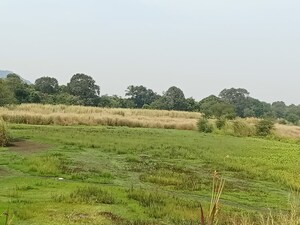 Plot Area in  Plot at Chirle – for Sale