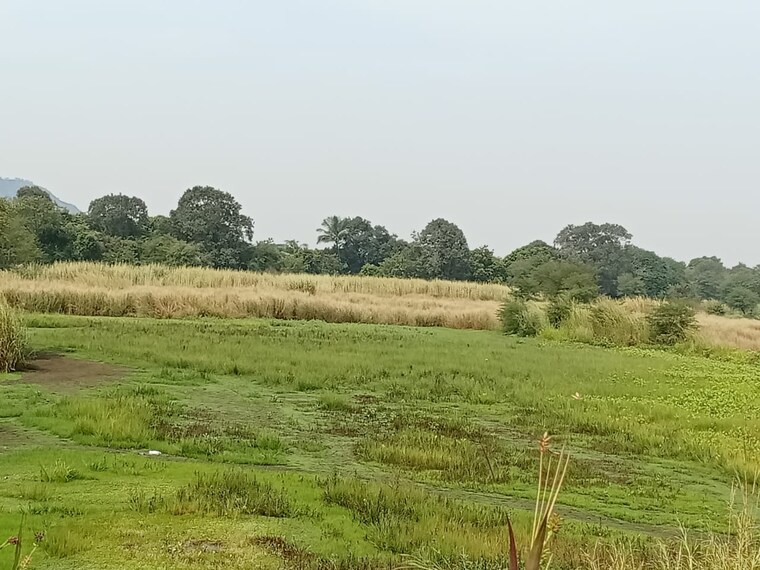 undefined, chirle  1089 Sq.Ft. Plot In Chirle Navi Mumbai 8596135