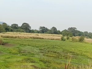 Plot Area in  Plot at Chirle – for Sale