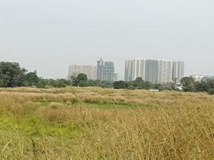  Plot For Sale in Dronagiri