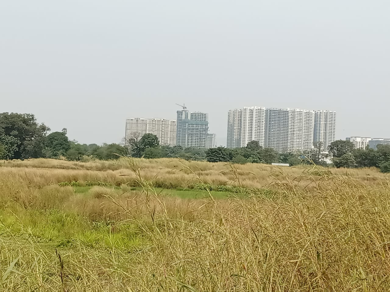 Plot For Sale in Dronagiri