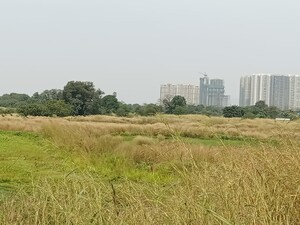 Plot Area in  Plot at Dronagiri – for Sale