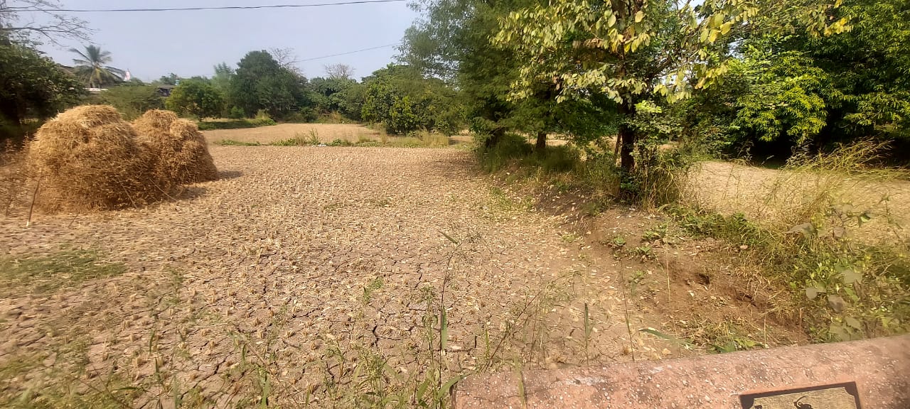 Plot For Sale in Koproli