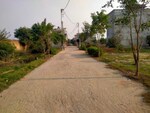 100 Sq.Yd. Plot in Sector 153