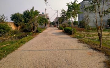 Plot For Sale in Sector 153