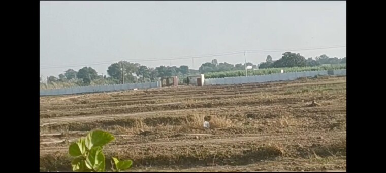 undefined, jewar  2100 Sq.Ft. Plot In Jewar Greater Noida 8596699