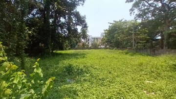 Plot Area in  Land at Vyttila – for Sale