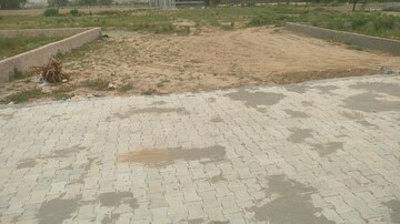 Plot For Sale in Saraswati Enclave Noida, Sector 143