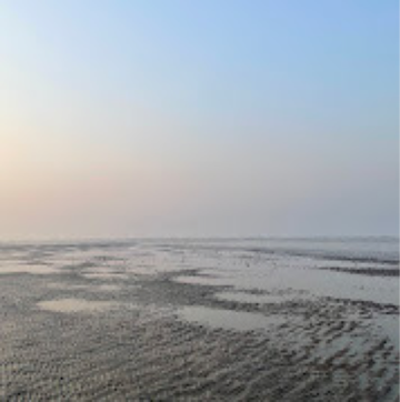  Land – Exterior View View at Saffron Suites Alibaug, Alibag - for Sale