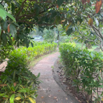  Land – Garden View at Saffron Suites Alibaug, Alibag - for Sale