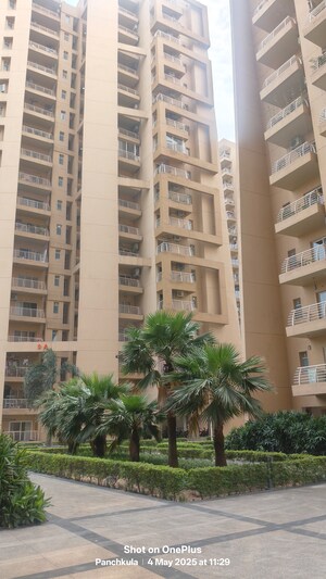 3.5 BHK Apartment For Sale in Sector 20