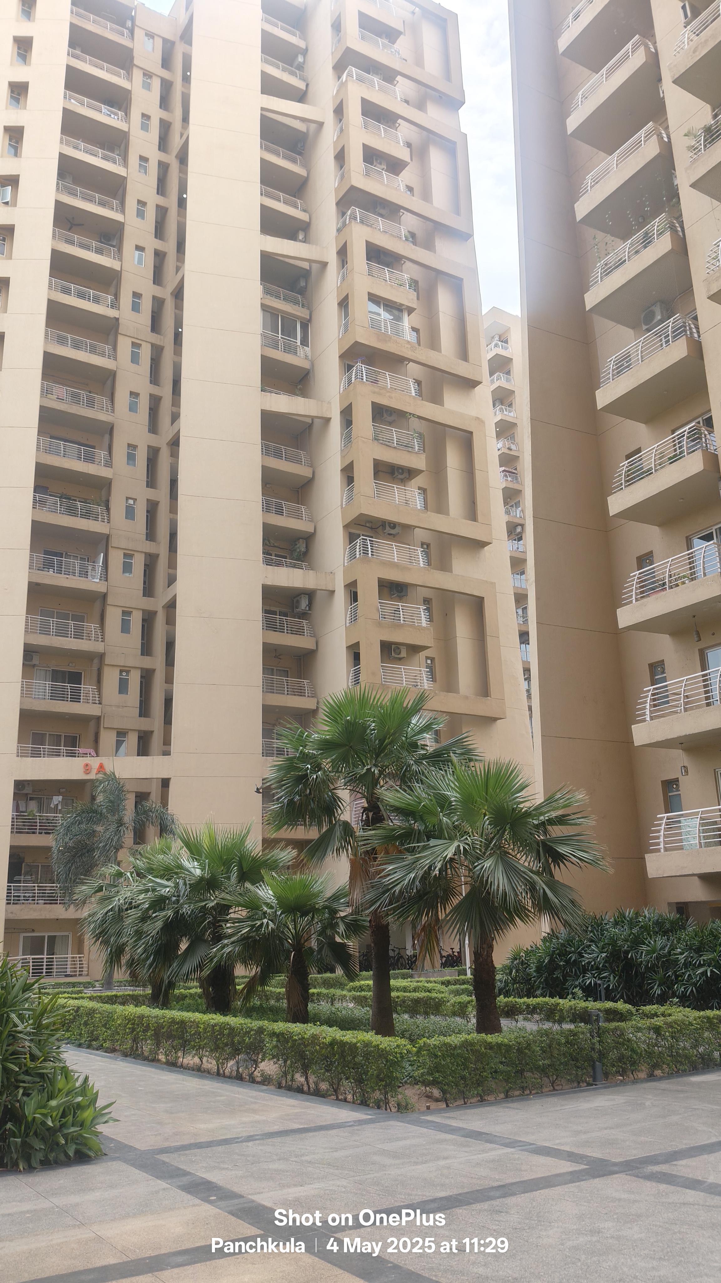 3.5 BHK + Servant Room Apartment For Sale in D R Estate 