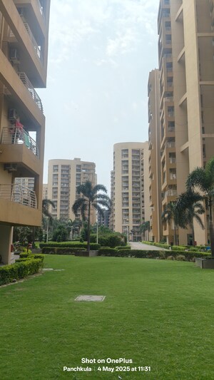3.5 BHK Apartment – Exterior View View at Sector 20 - for Sale