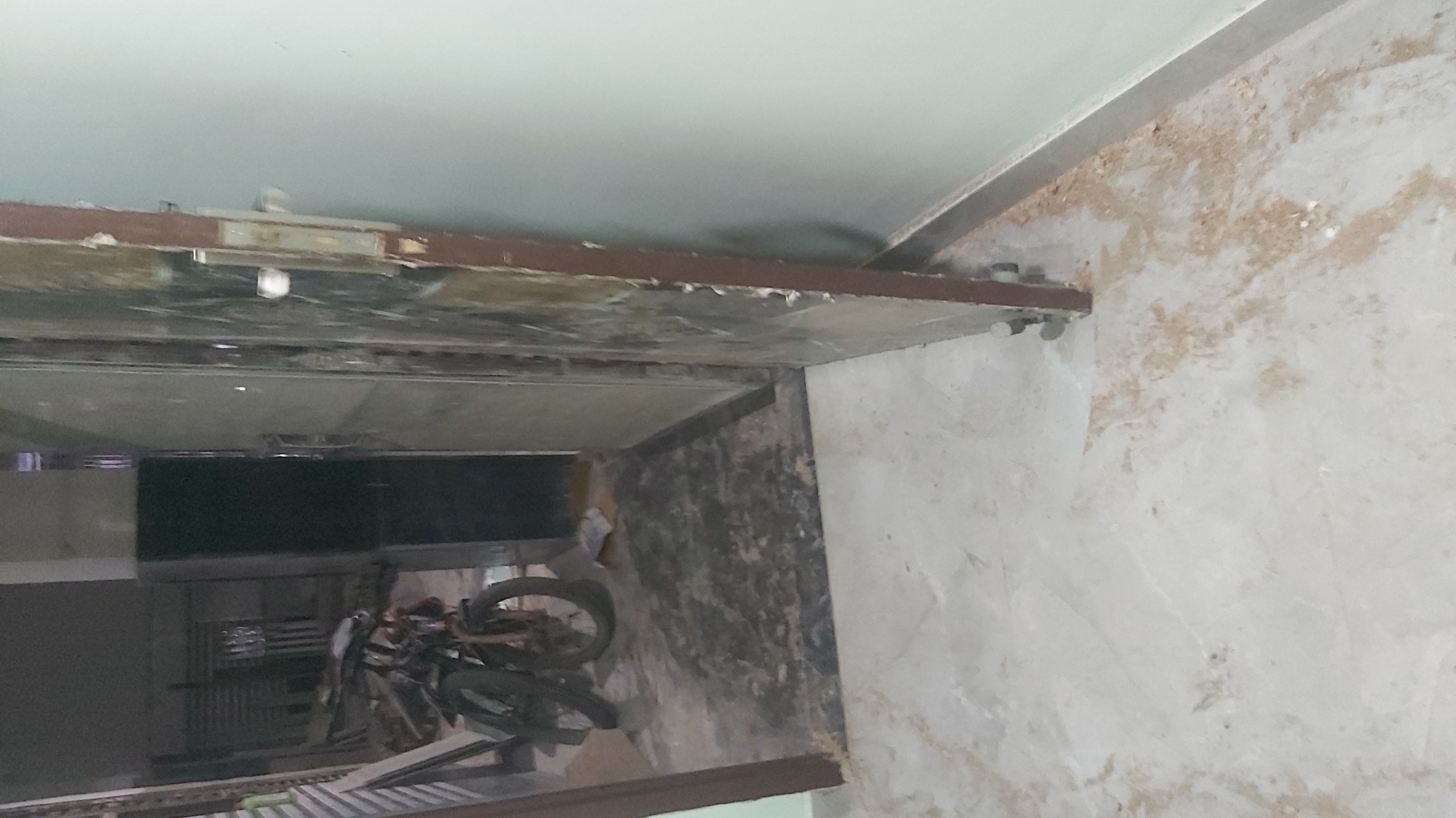 2.5 BHK Builder Floor For Rent in Partap Nagar Mayur Vihar 