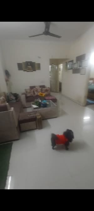 Living Room in 3 BHK Apartment at SVP Gulmohur Garden, Raj Nagar Extension – for Sale